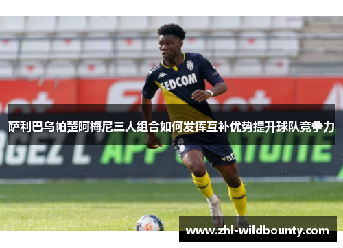 萨利巴乌帕楚阿梅尼三人组合如何发挥互补优势提升球队竞争力 萨利巴乌帕楚阿梅尼三人组合如何发挥互补优势提升球队竞争力