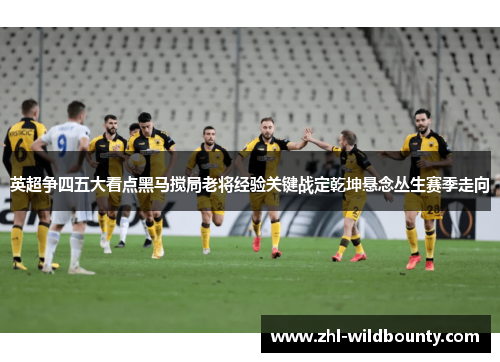 英超争四五大看点黑马搅局老将经验关键战定乾坤悬念丛生赛季走向